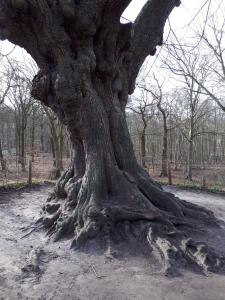 Leentje Landgoed Nijenborg 2